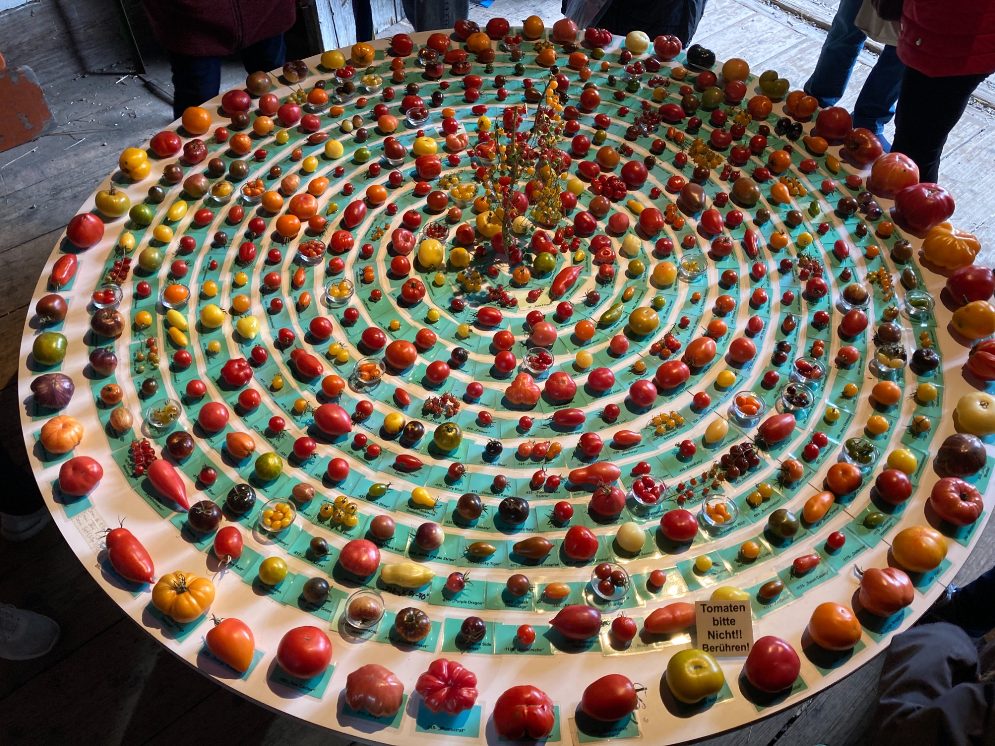 Die Vielfalt der Bürokratie