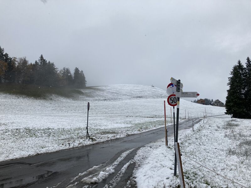 Wintercheck im Ideenmanagement